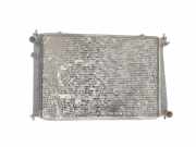 Radiator 253104A110 Hyundai H-1/H-200 Van 2.5 Tdi (D4BH) 2004