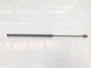 Gasdruckfedern Set Hinten 51247127875 BMW 3 serie Touring (E91) Kombi 330d 24V (M57N2-D30(306D3)) 2007