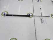 Gasdruckfeder Hinten 90450JD01B Nissan 1.5 dCi Turbodiesel (106 CV) 2007