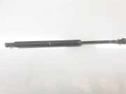 Gasdruckfedern Set Hinten 8254281 BMW 3 serie (E46/4) Limousine 320d 16V (M47-D20(204D1)) 1999