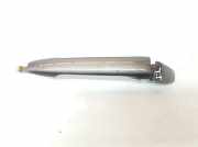 T?rgriff Au?en Links Hinten 9101FP Peugeot 4007 (VU/VV) SUV 2.2 HDiF 16V (DW12METED4(4HN)) 2010