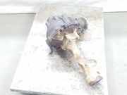 Vorderachsgetriebe 411103D430 Toyota Land Cruiser (J12) Hardtop Geländewagen 3.0 D-4D 16V (1KDFTV)