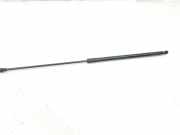 Gasdruckfeder Set Vorne 51238240596 BMW 7 serie (E65/E66/E67) Limousine 735i,Li 3.6 V8 32V (N62-B36) 2004