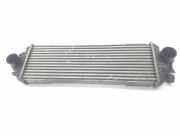 Ladeluftkühler 91166035 Opel Vivaro Van 1.9 DI (F9Q-762)