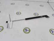 Gasdruckfeder Hinten C23563620D Mazda 5 (CR19) Großraumlimousine 2.0i 16V (LFF7) 2008