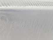 Nebelscheinwerfer Links 6204N6 Citroën CITROEN 1.5 D (54 CV) 1996