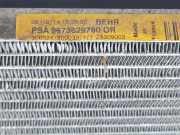 Klima Radiator 9673629780 Citroën CITROEN PICASSOSPACETOURER Attraction