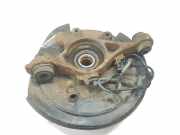 Achsschenkel Links Hinten RLH500030 Land + Range Rover Discovery III (LAA/TAA) Geländewagen 2.7 TD V6 (276DT) 2007