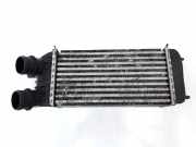Ladeluftkühler 1498997080 Fiat Scudo (270) Van 1.6 D Multijet (DV6UTED4(9HU)) 2011