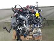 Motor COMPLEET H4D480 Dacia Sandero III Schrägheck 1.0 TCE 110 12V (H5D-C4)