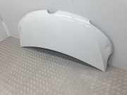 Motorhaube 651009963R Renault L2H2 HKA 35T