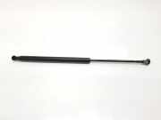 Gasdruckfedern Set Hinten 517854120 Fiat 500 (312) Schr?gheck 1.2 69 (169.A.4000) 2018