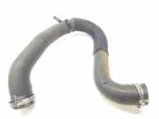 Turbo Leitung 9806788380 Citroën Jumpy Van 1.5 Blue HDi 100 (DV5RUCd(YHR))