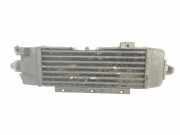 Ladeluftk?hler 52079477 Jeep Cherokee (XJ) Gel?ndewagen 2.5 Td (ENC) 1999