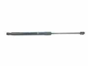 Gasdruckfeder Hinten 81780G4000 Hyundai i30 (PDEB5/PDEBB/PDEBD/PDEBE) Schrägheck 1.5 T-GDI 16V Hybrid 48V (G4LK) 2023