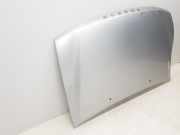 Motorhaube MR485951 Mitsubishi Colt (C1) Schrägheck 1.5 (4G15)