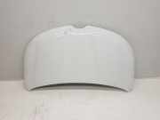 Motorhaube 651007840R Renault Kangoo Express (RFK) Van 1.3 TCE 100 16V (H5H-490(H5H-E4))