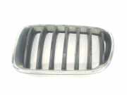 Grill 51117210725 BMW X3 (F25) SUV xDrive20d 16V (N47-D20C) 2011