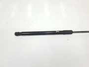 Gasdruckfeder Hinten 8W9827552C Audi AVANT 2.0 16V TDI (150 CV) 2018