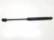 Gasdruckfedern Set Hinten 8731K4 Peugeot 407 (6D) Limousine 2.0 HDiF 16V (DW10BTED4(RHR)) 2005