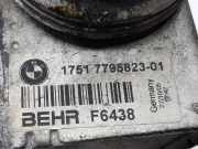 Ladeluftkühler 17517795823 BMW 5 serie (E60) Limousine 525d 24V (256D2) 2005