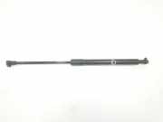 Gasdruckfeder Vorne 7060550 BMW SERIE 3 TOURING 2.0 16V D (163 CV) 2007