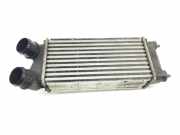 Ladeluftkühler 9800291280 Citroën C4 Berline (NC) Schrägheck 5-drs 1.2 12V PureTech 110 (EB2DT(HNZ))