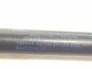 Gasdruckfedern Set Hinten 904529961R Dacia Sandero III Schrägheck 1.0 TCE 110 12V (H5D-C4)