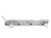 Einspritzdüsen Düsenstock 2381447020 Toyota Auris (E15) Schrägheck 1.33 Dual VVT-I 16V (1NRFE)