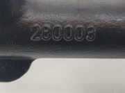 Einspritzdüsen Düsenstock 6640700195 SsangYong Actyon SUV 2.0 Xdi 16V (OM664.951) 2007