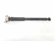 Stoßdämpfer Links Hinten A2043260200 Mercedes-Benz C (W204) Limousine 2.2 C-200 CDI 16V BlueEFFICIENCY (OM651.913) 2012