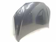 Motorhaube 664002B030 Hyundai Santa Fe II (CM) SUV 2.2 CRDi 16V 4x4 (D4EB)