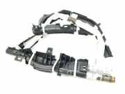 Vorhang Airbag Rechts VOOR 6217042070 Toyota RAV4 (A5) Geländewagen 2.5 Hybrid 16V (A25AFXS)