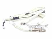 Vorhang Airbag Rechts VOOR A1178601202 Mercedes-Benz MERCEDES SE 2.1 CDI (170 CV) 2014