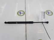 Gasdruckfeder Hinten 51247129194 BMW M3 (E92) Coup? 4.0 V8 32V (S65-B40A) 2008