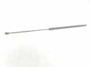 Gasdruckfeder Vorne 51238240596 BMW 7 serie (E65/E66/E67) Limousine 730d 24V (M57N-D30(306D2)) 2002