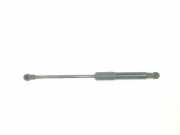 Gasdruckfeder Set Vorne 654705053R Renault Trafic (1FL/2FL/3FL/4FL) Van 1.6 dCi 95 (R9M-413) 2018