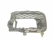 Grill Gitter Links LR045034 Land + Range Rover Range Rover Sport (LW) Geländewagen 3.0 SDV6 (306DT) 2014