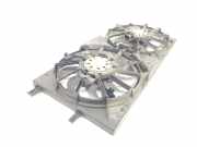 Lüfter Kühler 214815679R Renault III 2.0 dCi D FAP (173 CV) 2013