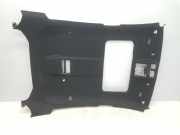 Verkleidung Himmel 51447313327 BMW X6 (E71/E72) SUV xDrive50i 4.4 V8 32V (N63-B44A) 2008