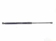 Gasdruckfeder Hinten 689600F030 Toyota Verso Großraumlimousine 2.0 16V D-4D-F (1AD-FTV) 2010