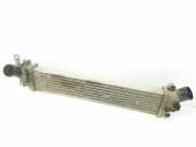 Ladeluftkühler 8200221885 Renault Kangoo (KC) Großraumlimousine 1.5 dCi 80 (K9K-702) 2001