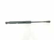 Gasdruckfeder Set Vorne 8R0823359A Audi Q5 (8RB) SUV 2.0 TFSI 16V Quattro (CDNC) 2009