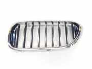 Grill 51137390863 BMW 5 serie (G30) Limousine 530e iPerformance (B48-B20A) 2017