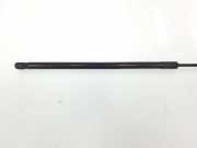 Gasdruckfeder Vorne 8T082335902S Audi A5 (8T3) Coup? 3.0 TDI V6 24V Quattro (CCWA) 2009