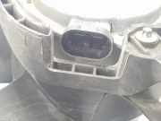 Lüfter Kühler 8200966248 Renault Clio III (BR/CR) Schrägheck 1.5 dCi 75 FAP (K9K-770) 2011