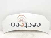 Motorhaube 651003220R Renault Kangoo Express (FW) Van 1.5 dCi 70 (K9K-840) 2011