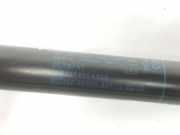 Gasdruckfedern Set Hinten 8R0827552A Audi Q5 (8RB) SUV 3.0 TDI V6 24V Quattro (CDUD) 2013