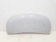 Motorhaube 651224338R Renault L1H1 29t Komfort