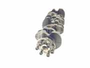 Kurbelwelle 1638162180 Peugeot 208 I (CA/CC/CK/CL) Schrägheck 1.5 BlueHDi 100 (DV5RD(YHY))